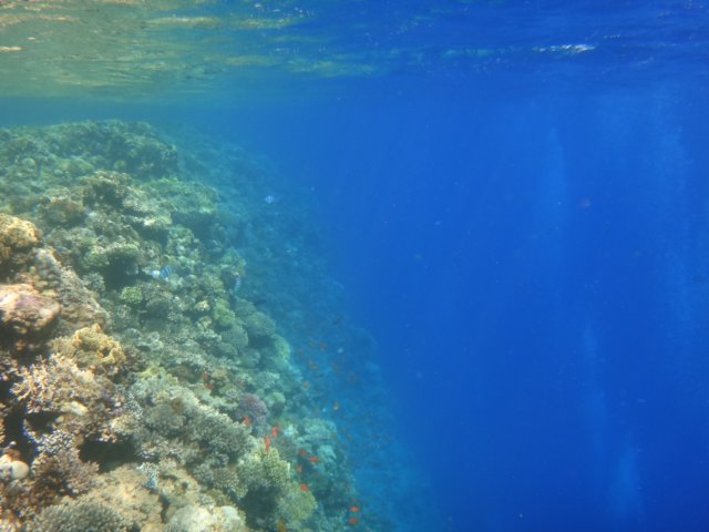 dsc03083.jpg