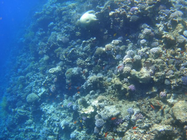 dsc03084.jpg