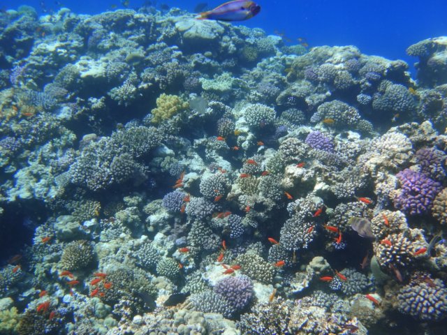 dsc03085.jpg
