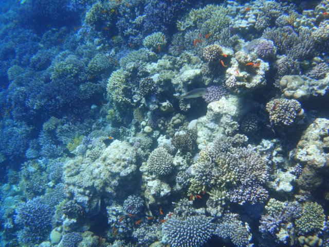 dsc03086.jpg