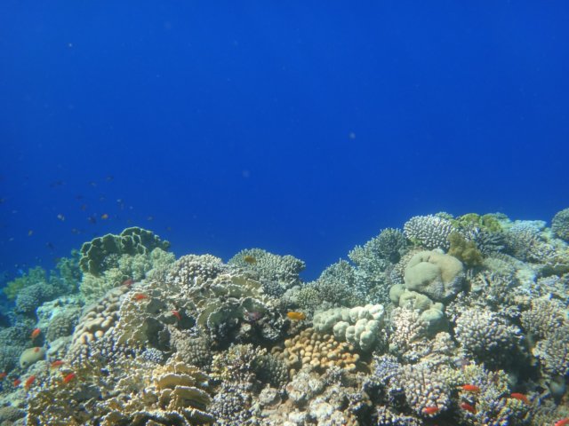 dsc03087.jpg