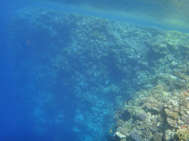 dsc03091.jpg
