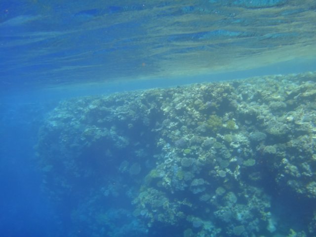 dsc03092.jpg