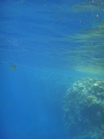 dsc03093.jpg