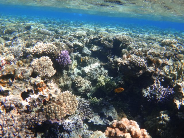 dsc03097.jpg
