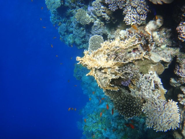 dsc03098.jpg