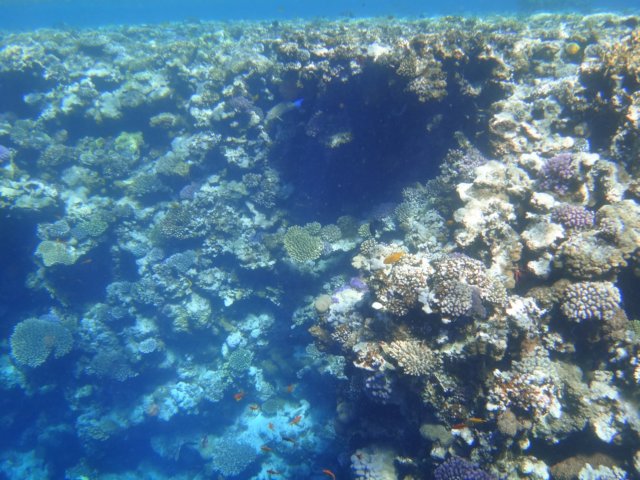 dsc03100.jpg