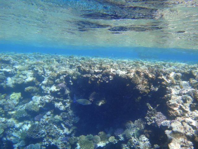 dsc03101.jpg
