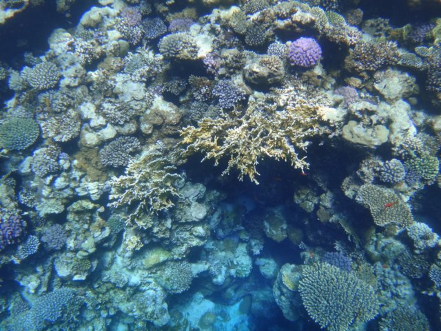 dsc03102.jpg