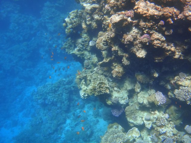dsc03105.jpg