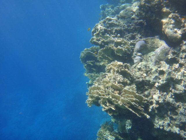 dsc03109.jpg