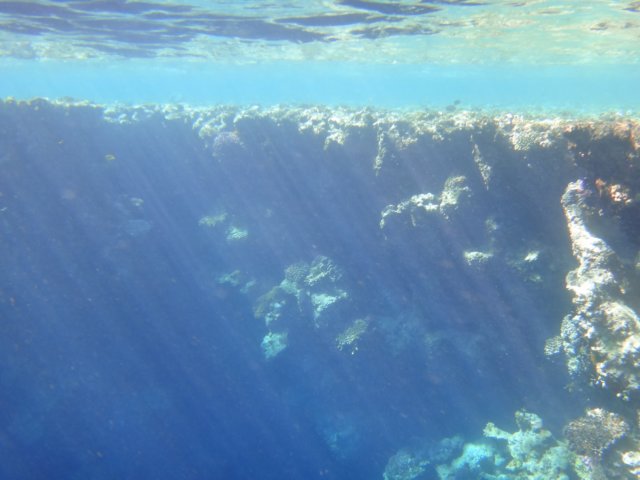 dsc03111.jpg