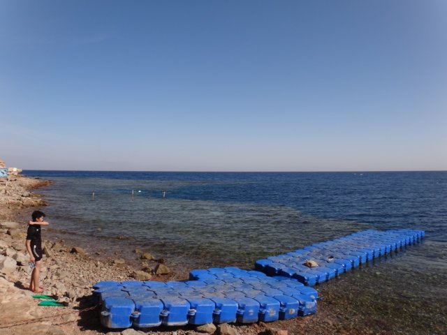 dsc03126.jpg