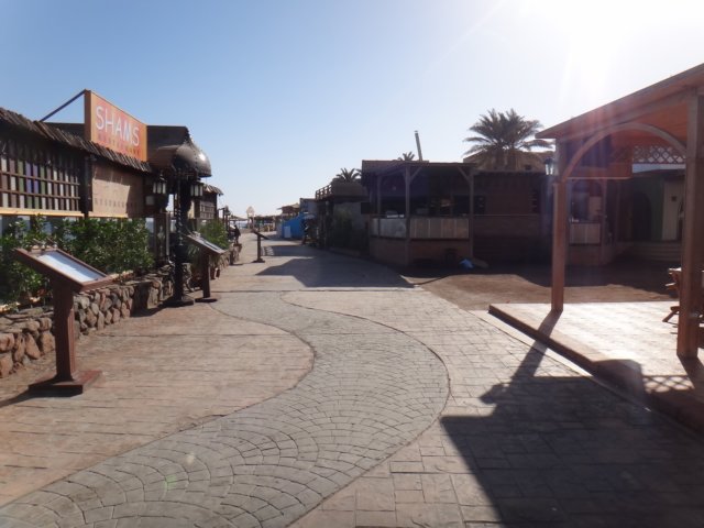dsc03152.jpg