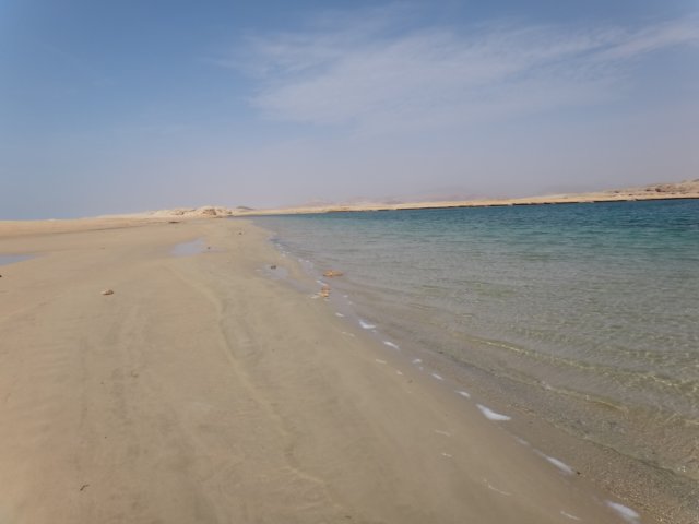dsc03194.jpg