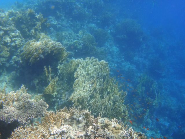 dsc03202.jpg