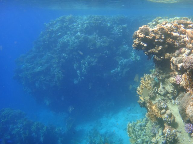 dsc03206.jpg