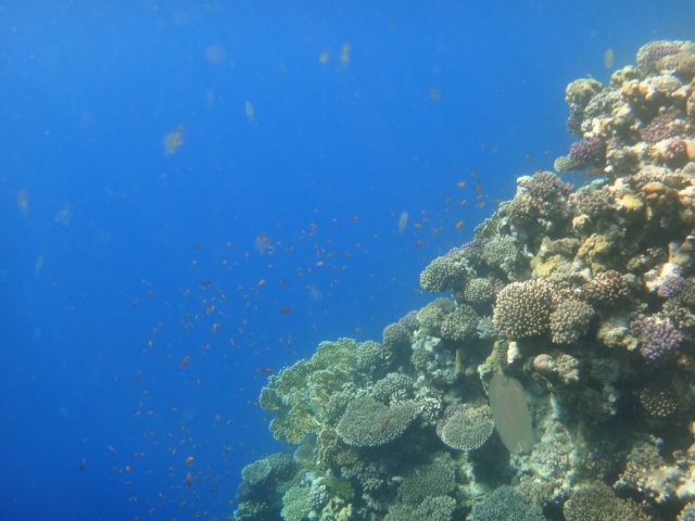 dsc03209.jpg
