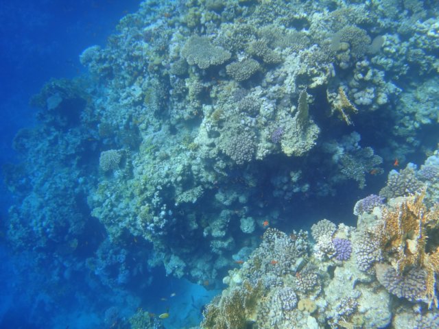 dsc03214.jpg