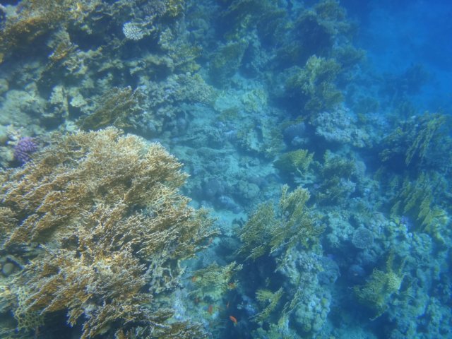 dsc03255.jpg