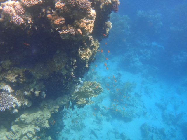 dsc03256.jpg