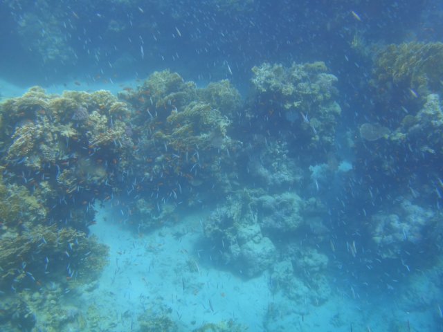 dsc03258.jpg
