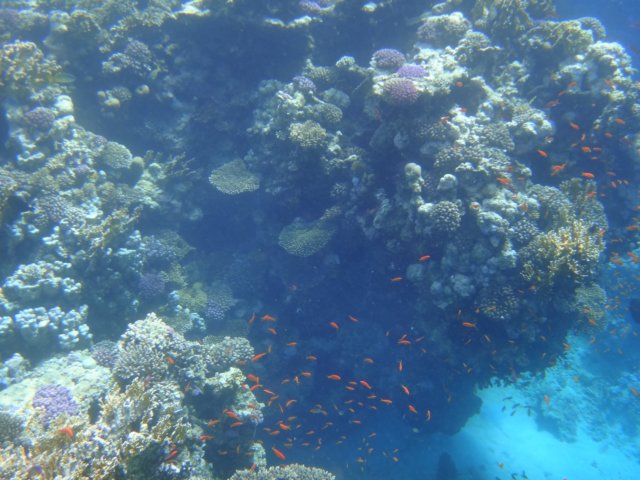 dsc03263.jpg