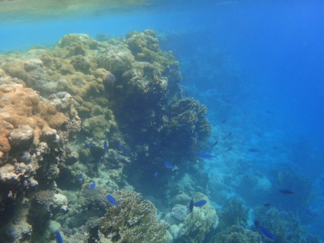 dsc03274.jpg