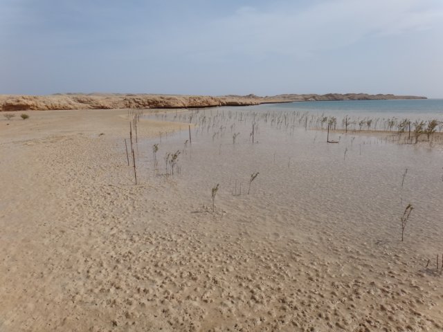 dsc03279.jpg