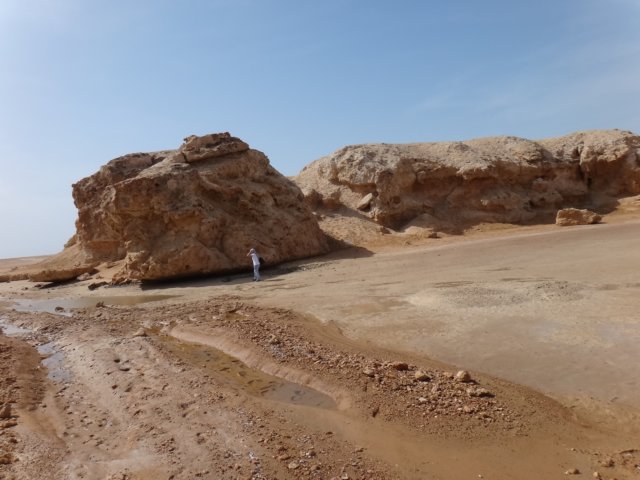 dsc03281.jpg