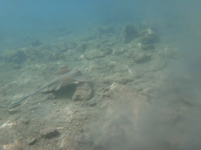 dsc03295.jpg