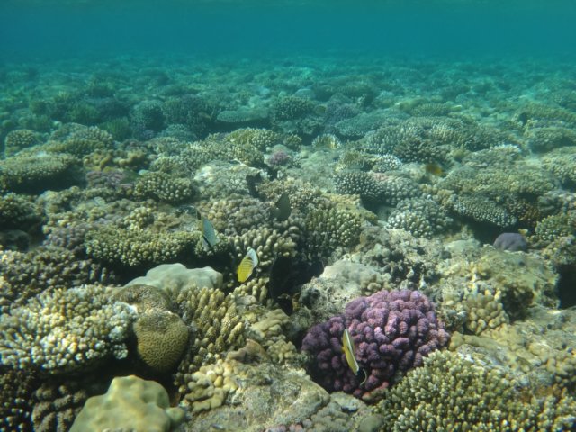 dsc03306.jpg