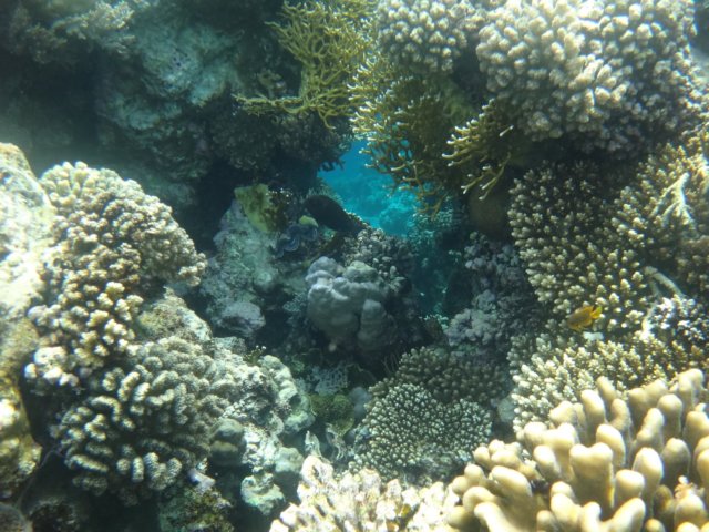 dsc03310.jpg
