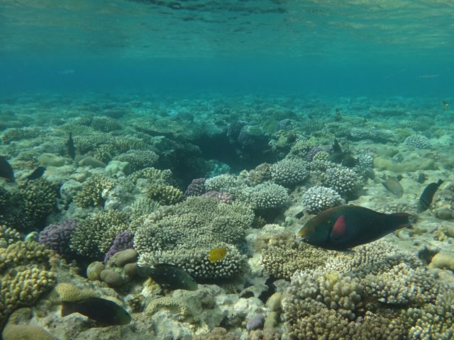 dsc03311.jpg