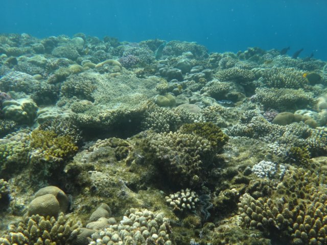 dsc03319.jpg