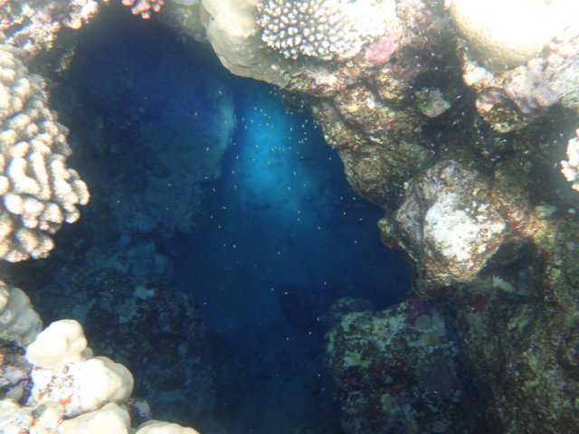 dsc03326.jpg