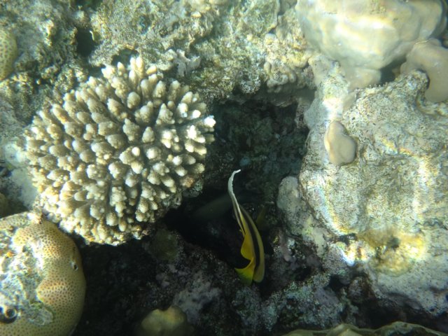 dsc03330.jpg