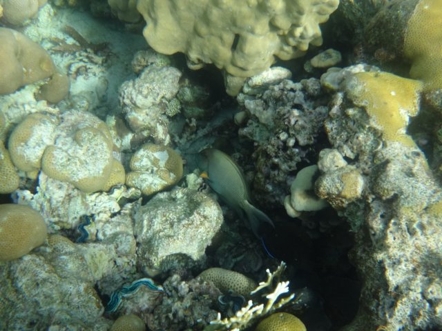 dsc03331.jpg