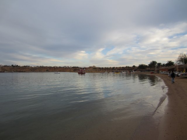 img_0561.jpg