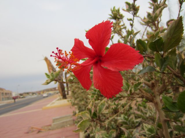 img_0564.jpg