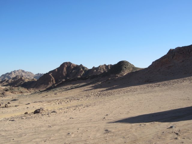 img_0613.jpg
