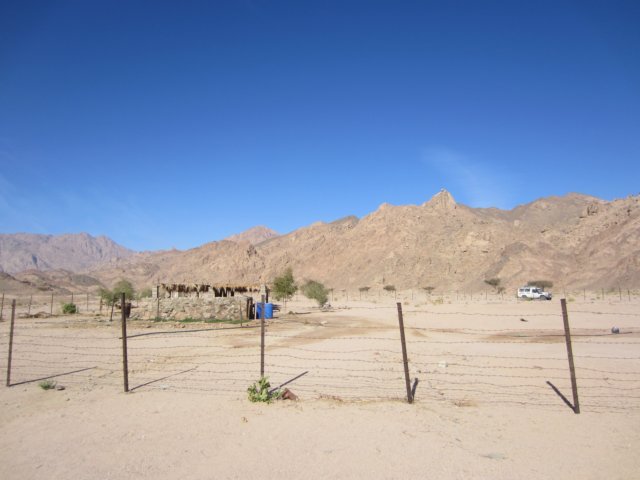 img_0622.jpg