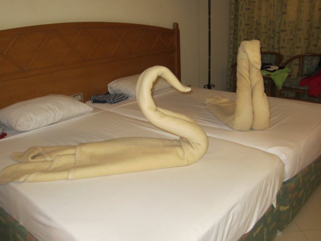 img_0654.jpg