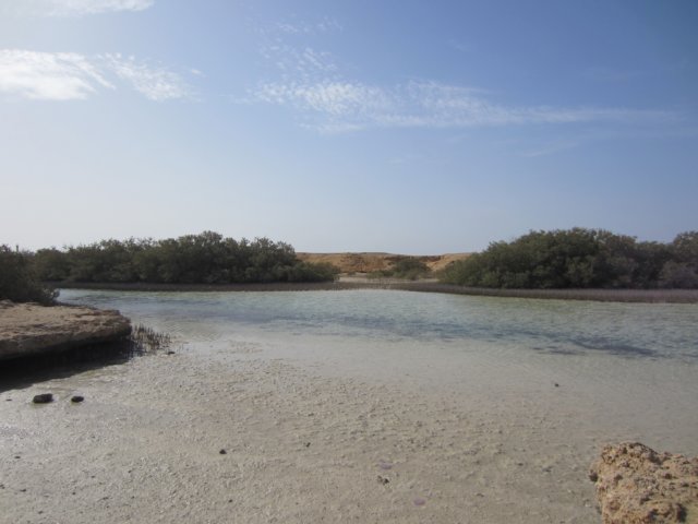 img_0683.jpg