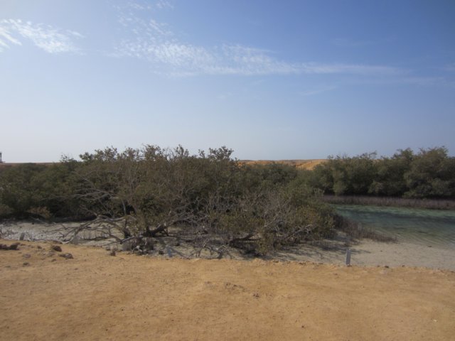 img_0684.jpg