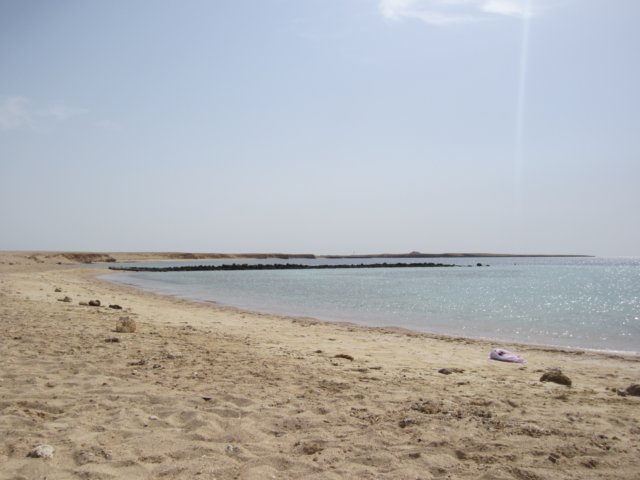 img_0711.jpg