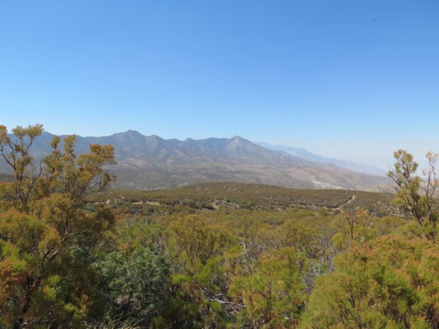 img_6650.jpg