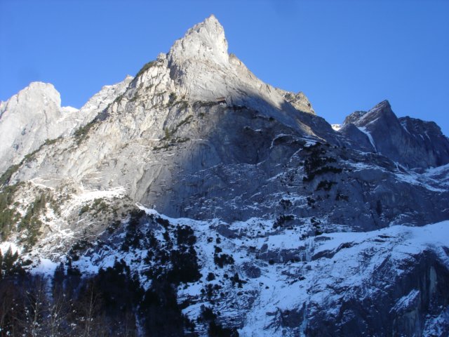 Photograph