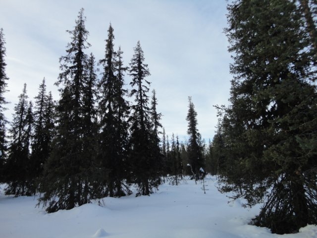 dsc07228.jpg