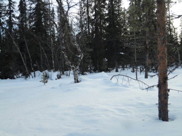 dsc07229.jpg
